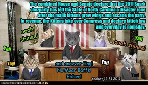 The combined House and Senate declare that the 2011 Snark chezparty has left the State of North Carolina a disaster zone after the majik kittens grow wings and escape the party. In revenge, the Kittens take over Congress and declare kitteh law and everyda