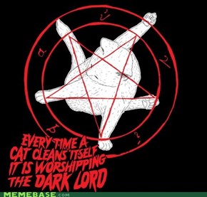 You'll never consider your cat the same way...