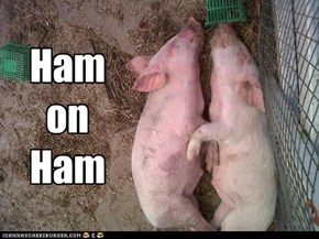 Ham on Ham