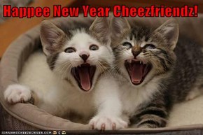 Happee New Year Cheezfriendz!