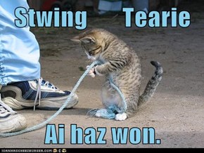 Stwing       Tearie  Ai haz won.