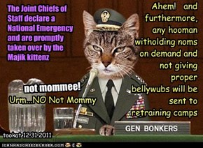 The Joint Chiefs of Staff declare a National Emergency and are promptly taken over by the Majik kittenz