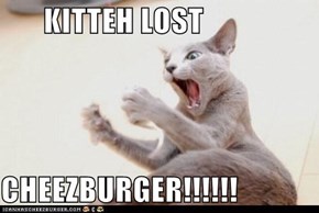 KITTEH LOST  CHEEZBURGER!!!!!!