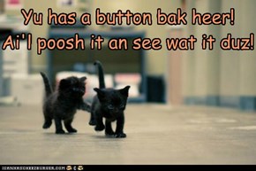 Ai fownd a button!