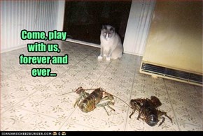 Come, play with us, forever and ever...