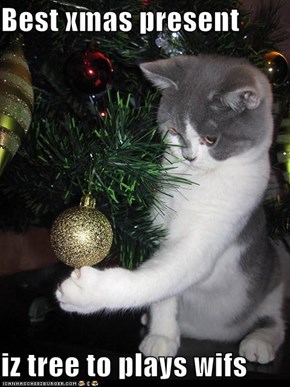 Best xmas present  iz tree to plays wifs