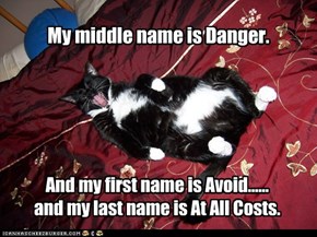 My middle name is Danger.