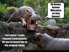 Oh Romeo, Romeo! Wherefore art thou Romeo?