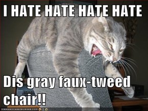 I HATE HATE HATE HATE  Dis gray faux-tweed chair!!