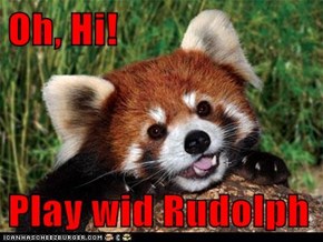 Oh, Hi!  Play wid Rudolph