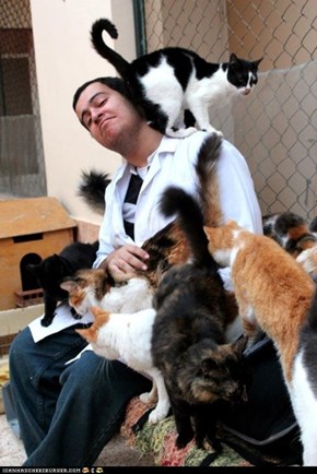 O, the Places You'll Go: Animal Haven Shelter in Shabramant, Egypt