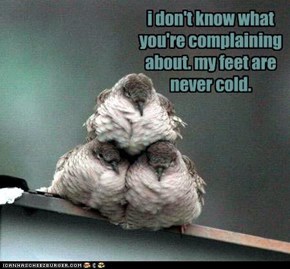 Warm Feet