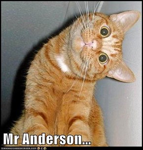 Mr Anderson...