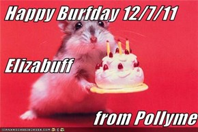 Happy Burfday 12/7/11 Elizabuff from Pollyme