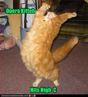 It ain't over til the orange kitty sings