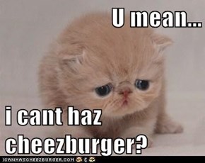 U mean...  i cant haz cheezburger?
