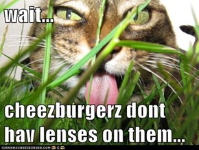 wait...   cheezburgerz dont hav lenses on them...