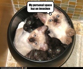 My pursonal space