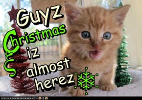 Guyz !