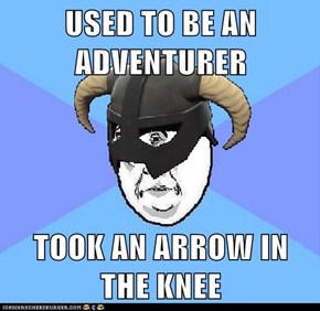 USED TO BE AN ADVENTURER  TOOK AN ARROW IN THE KNEE