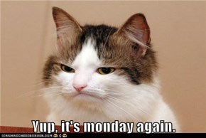 Yup, it's monday again.