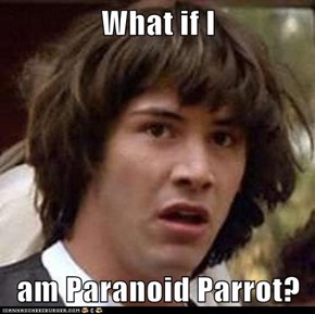 What if I  am Paranoid Parrot?