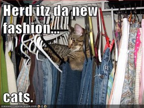 Herd itz da new fashion...  cats.