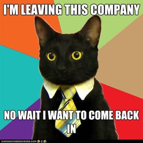 MemeCats: Business Cat Quits... Well, Kinda...