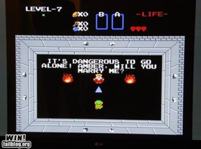 Nerdy Marriage Proposal WIN