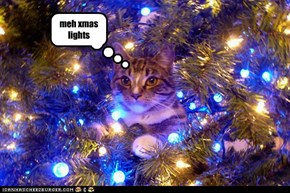 meh xmas lights