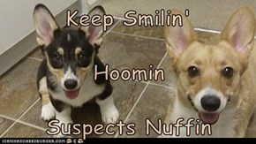 Keep Smilin' Hoomin Suspects Nuffin