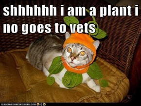 shhhhhh i am a plant i no goes to vets