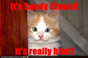 It's Sandy Claws!!  It's really him!!