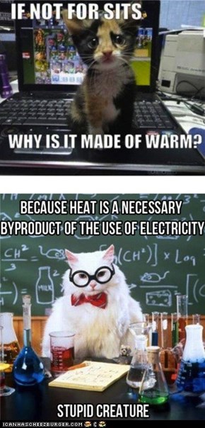 VIDEO: Chemistry Cat Experiences an "Anti-Joke Chicken" Moment