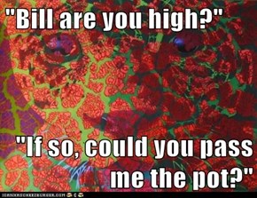 "Bill are you high?"  "If so, could you pass me the pot?"