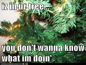 iz in ur tree...  you don't wanna know what im doin'