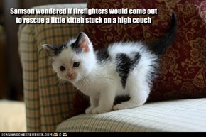 Samson wondered if firefighters would come outto rescue a little kitteh stuck on a high couch