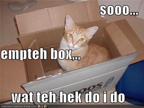 sooo... empteh box,., wat teh hek do i do