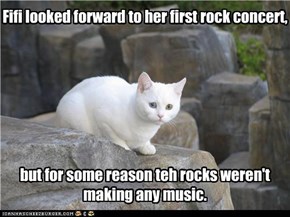 Fifi looked forward to her first rock concert,        but for some reason teh rocks weren't making any music.