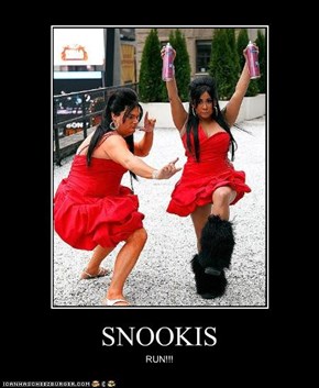 SNOOKIS