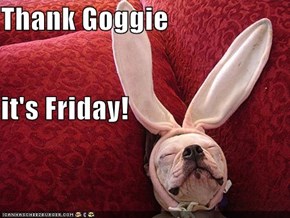 Thank Goggie it's Friday!