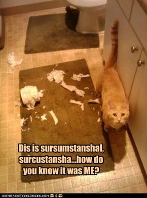 Dis is sursumstanshal, surcustansha...how do you know it was ME?