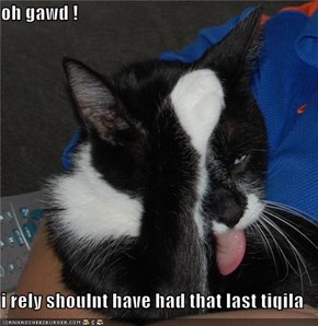 oh gawd !  i rely shoulnt have had that last tiqila