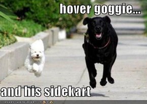 hover goggie...  and his sidekart