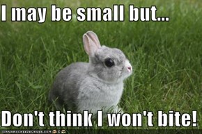 I may be small but...  Don't think I won't bite!