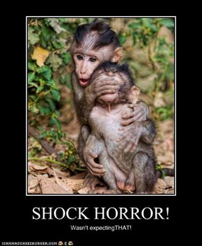 SHOCK HORROR!