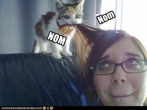 Kyoot Picture of Teh Day: I nom your hair