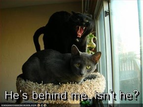 He's behind me, isn't he?