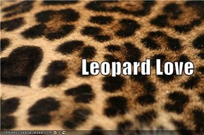 Leopard Love
