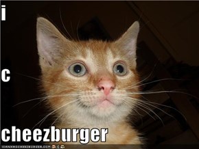 i c cheezburger
